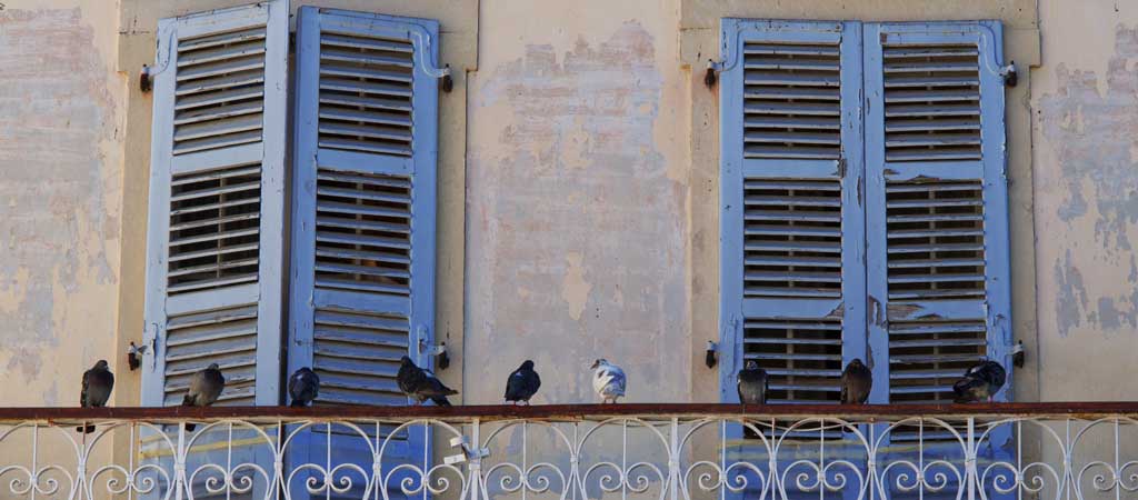 Avant la mort solitaire, la mort sociale... © Andrea Gaitanides / Shutterstock.com